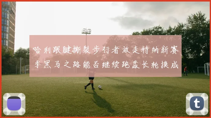 哈利跟腱撕裂步行者放走特纳新赛季黑马之路能否继续跑轰长轮换成关键