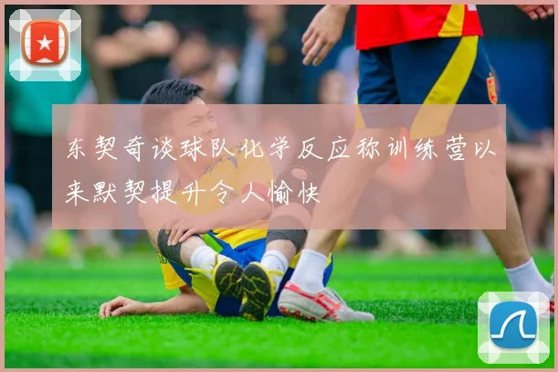 东契奇谈球队化学反应称训练营以来默契提升令人愉快