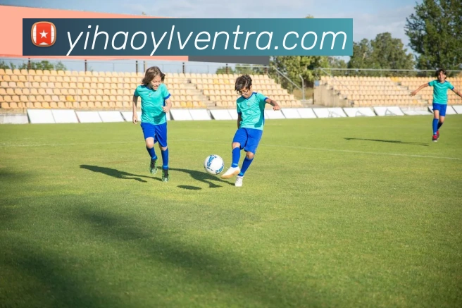 多媒体互动体验